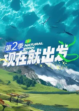 陈风笑