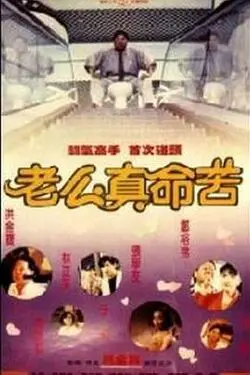琳琅导航