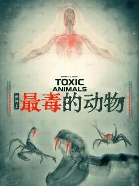 老师留下学生打扑克牌