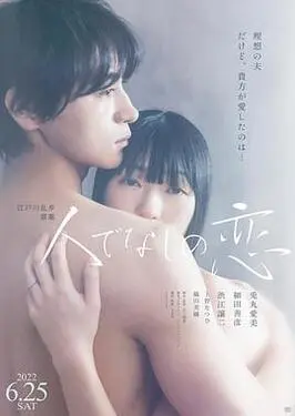 2012看免费看手机视频