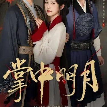 23P美女