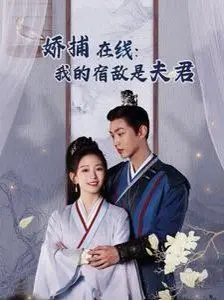 巡回检察组免费完整版在线观看